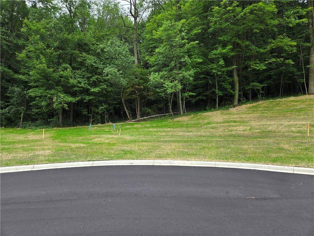 1447 Sykora LN, Boyceville, WI 54725