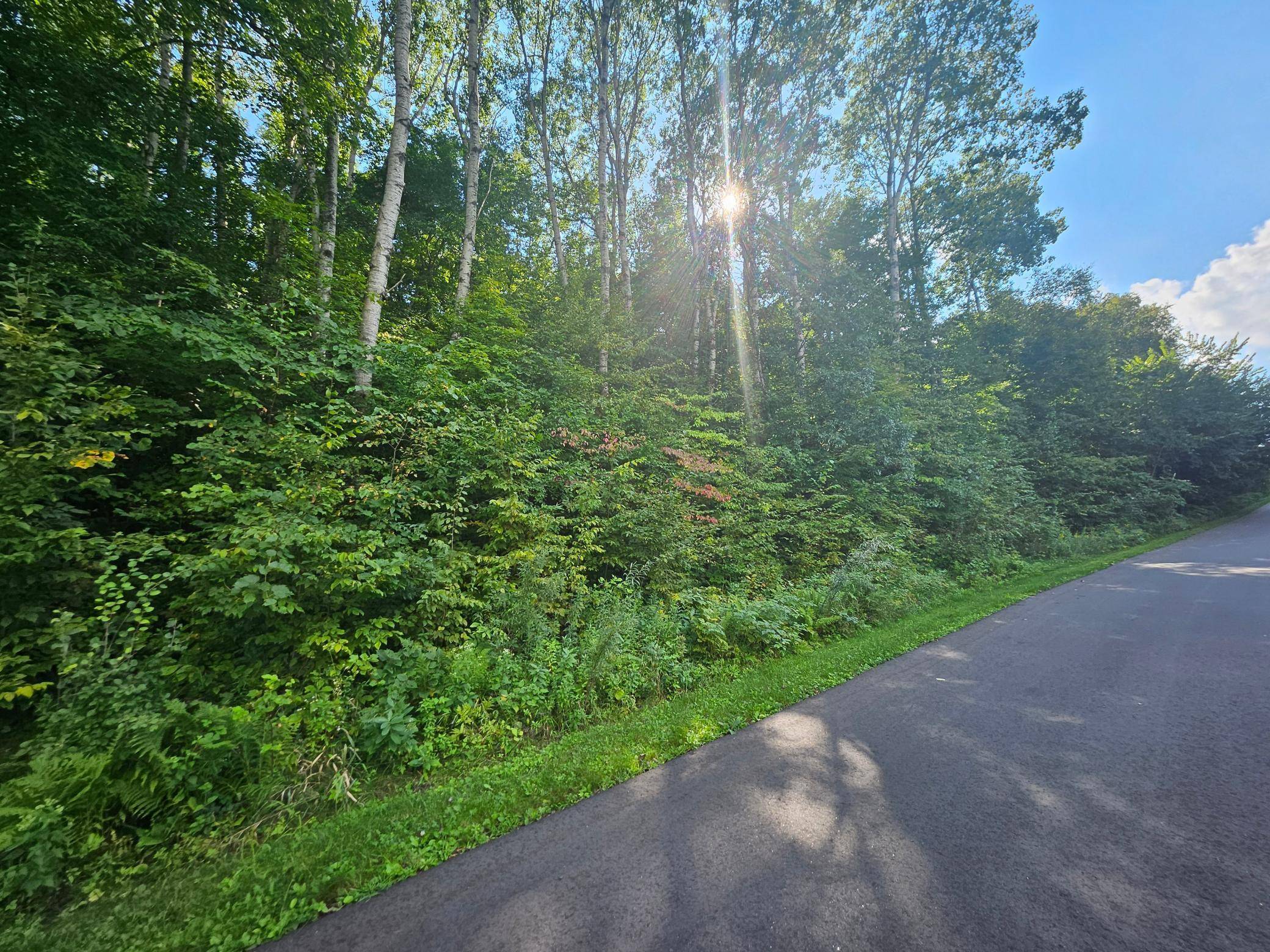 TBD 263rd ST, Shafer, MN 55074