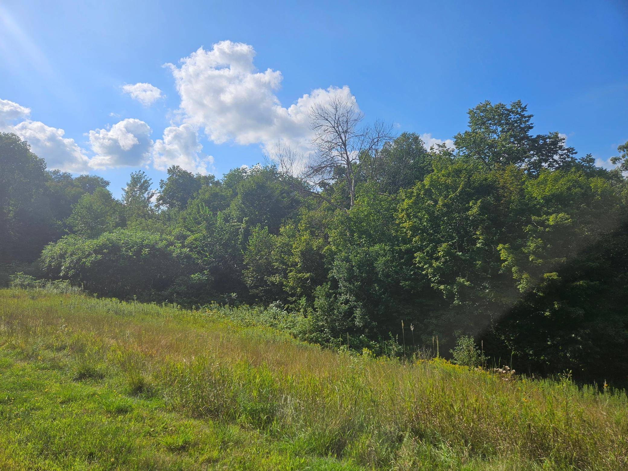 xxx 263rd ST, Shafer, MN 55074