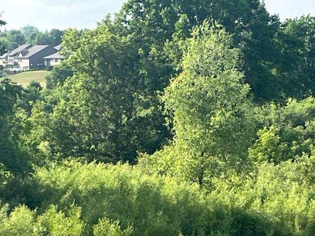 113 Par DR, Albany, MN 56307