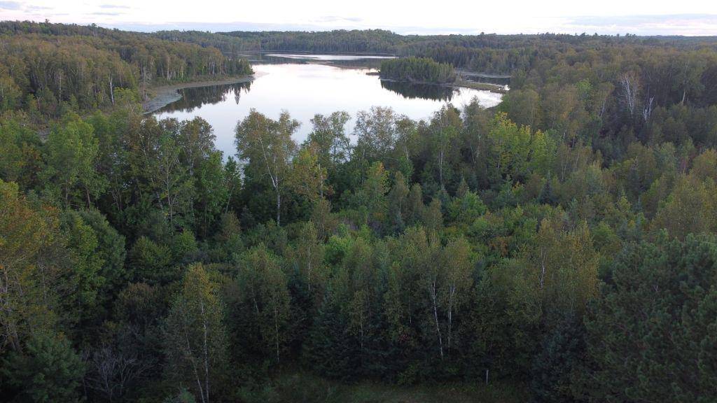 Parcel B E Gunn Lake TRL, Marcell, MN 56657