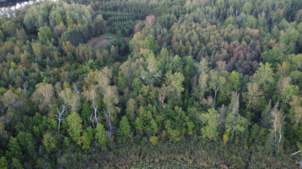 Parcel B E Gunn Lake TRL, Marcell, MN 56657