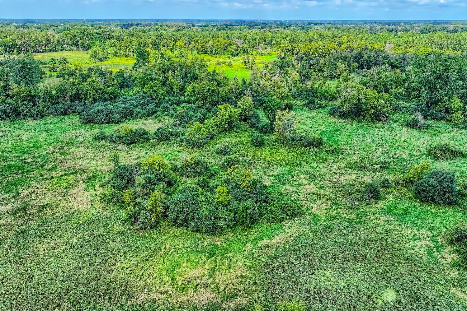 xxxx 165th St N, Hugo, MN 55038