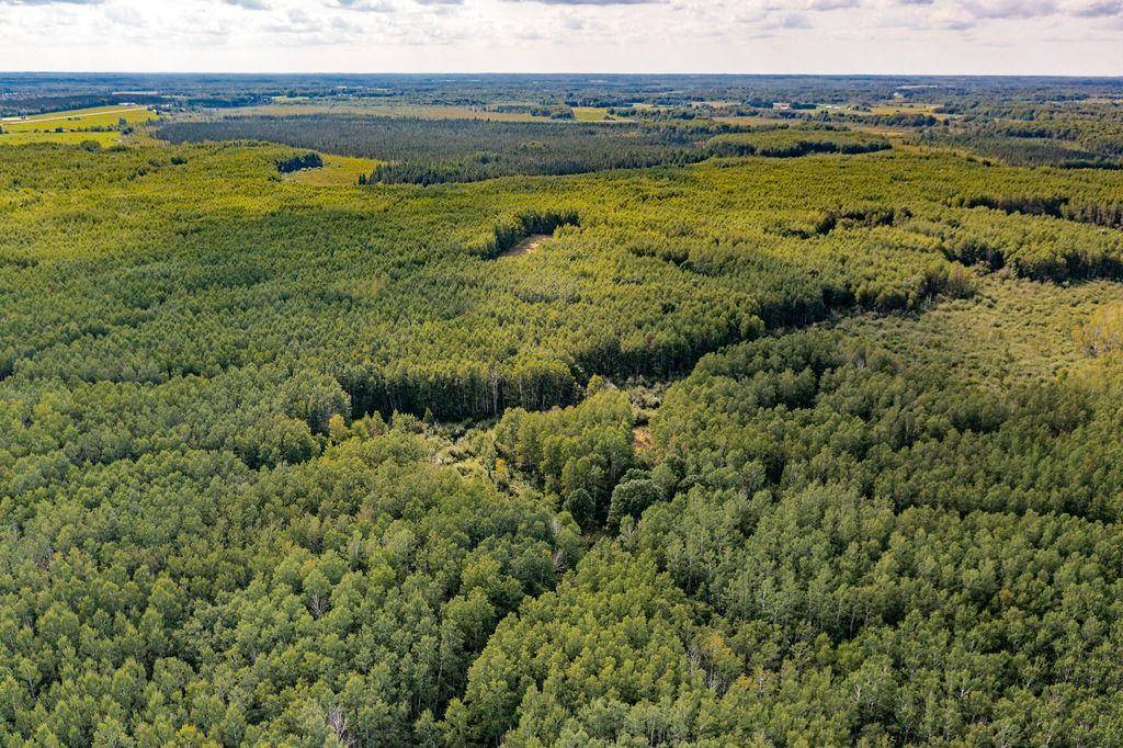 Xxxx Hwy 27, Kettle River, MN 55757