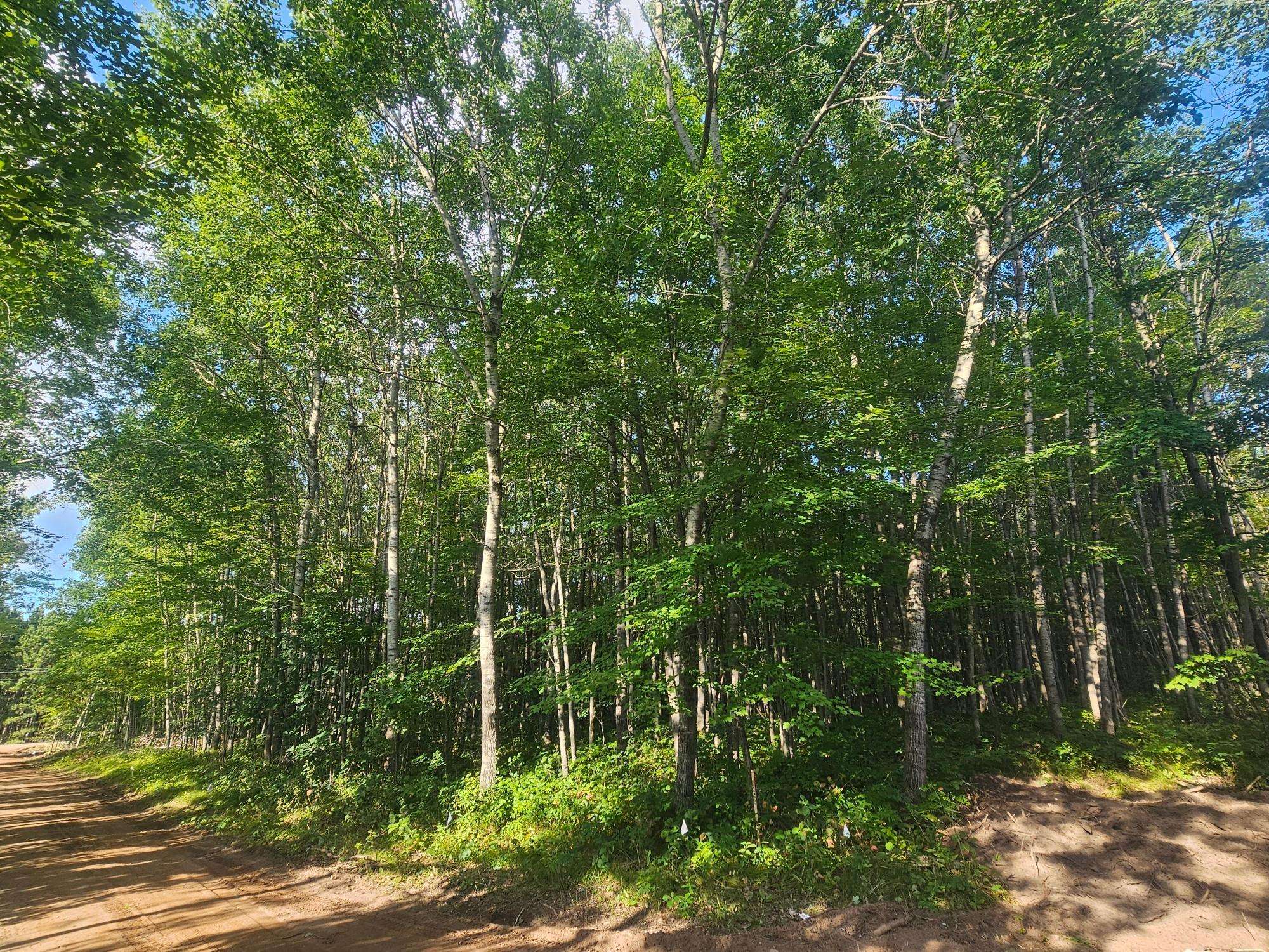 Lot 1 Ken Can Lane, Webster, WI 54893
