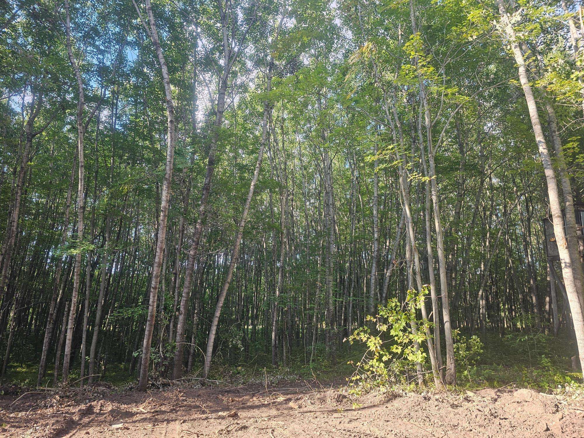 Lot 2 Ken Can Lane, Webster, WI 54893