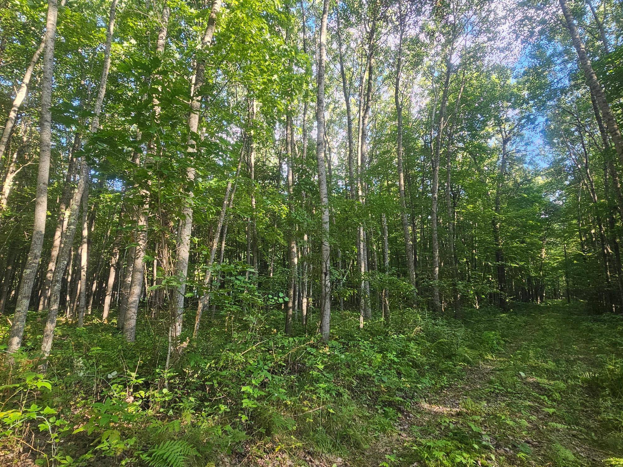 Lot 3 Ken Can Lane, Webster, WI 54893