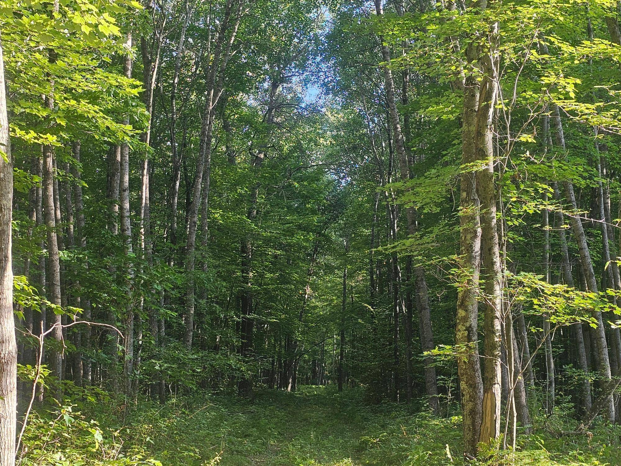 Lot 3 Ken Can Lane, Webster, WI 54893