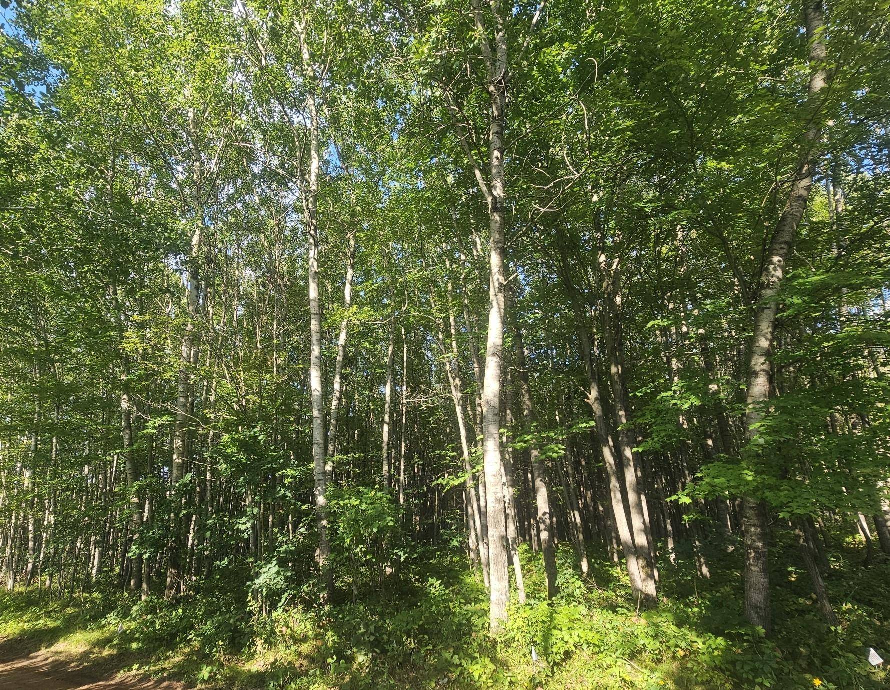 Lot 4 Ken Can Lane, Webster, WI 54893