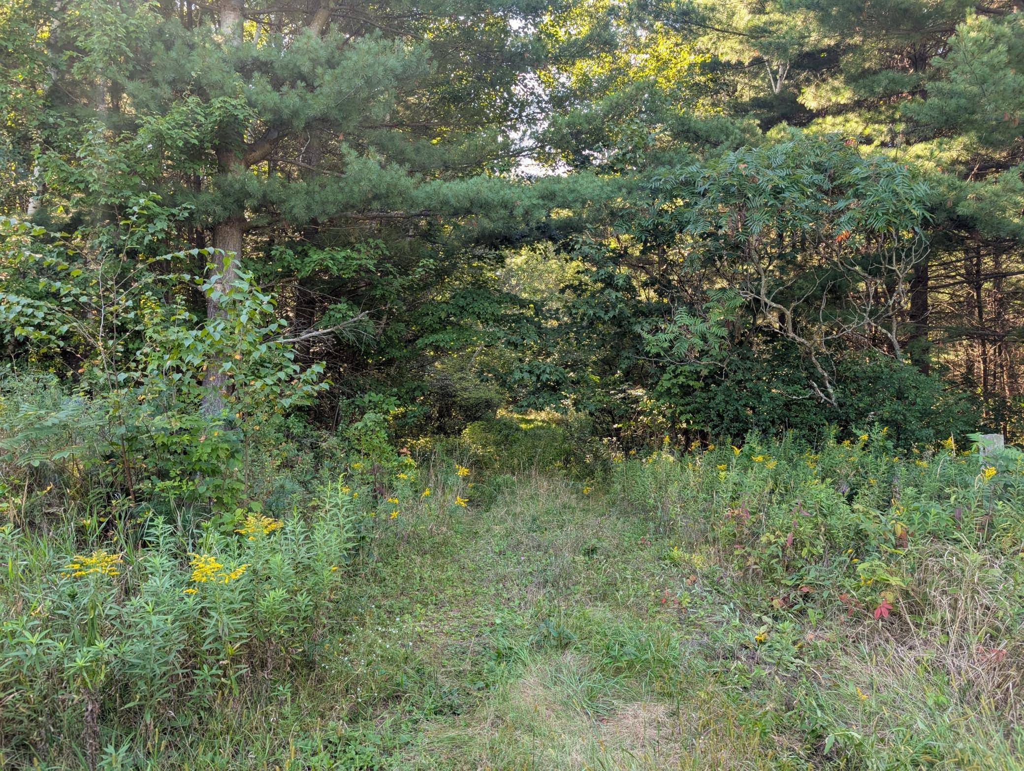 TBD 40th, Clayton, WI 54004