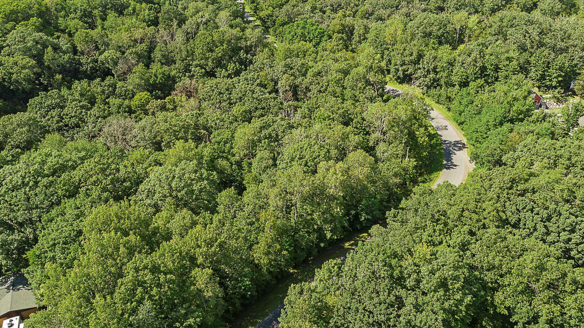 TBD DeLong RD, Somerset, WI 54025
