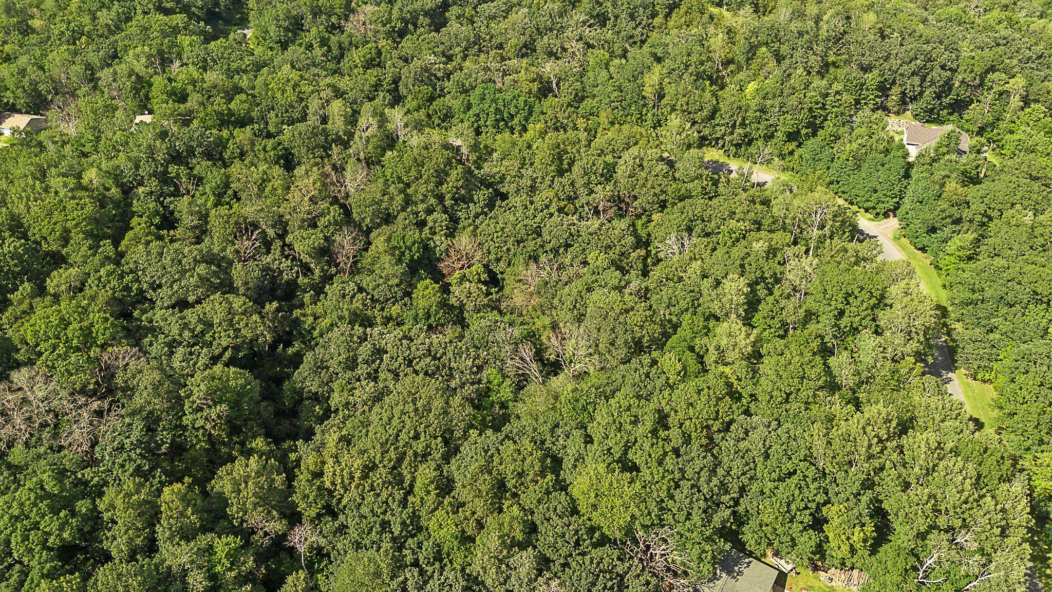 TBD DeLong RD, Somerset, WI 54025