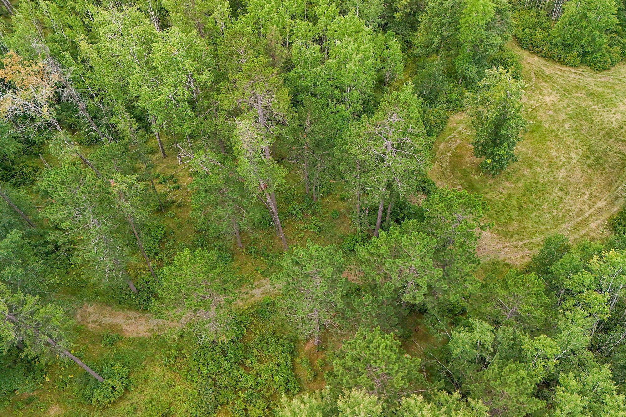 5415 Park Preserve TRL NE, Bemidji, MN 56601