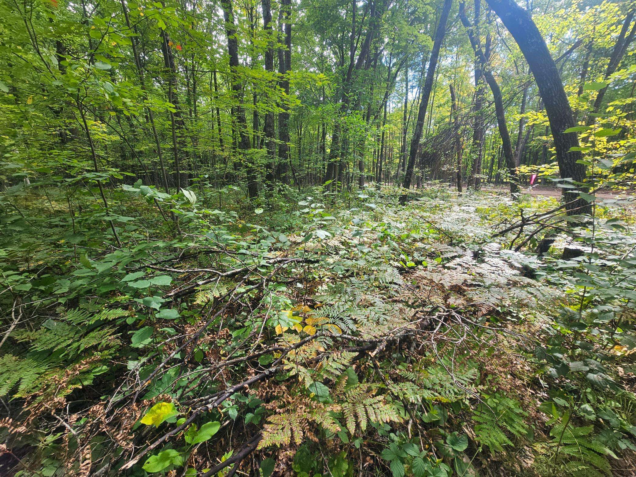 Lot 5 Ken Can Lane, Webster, WI 54893