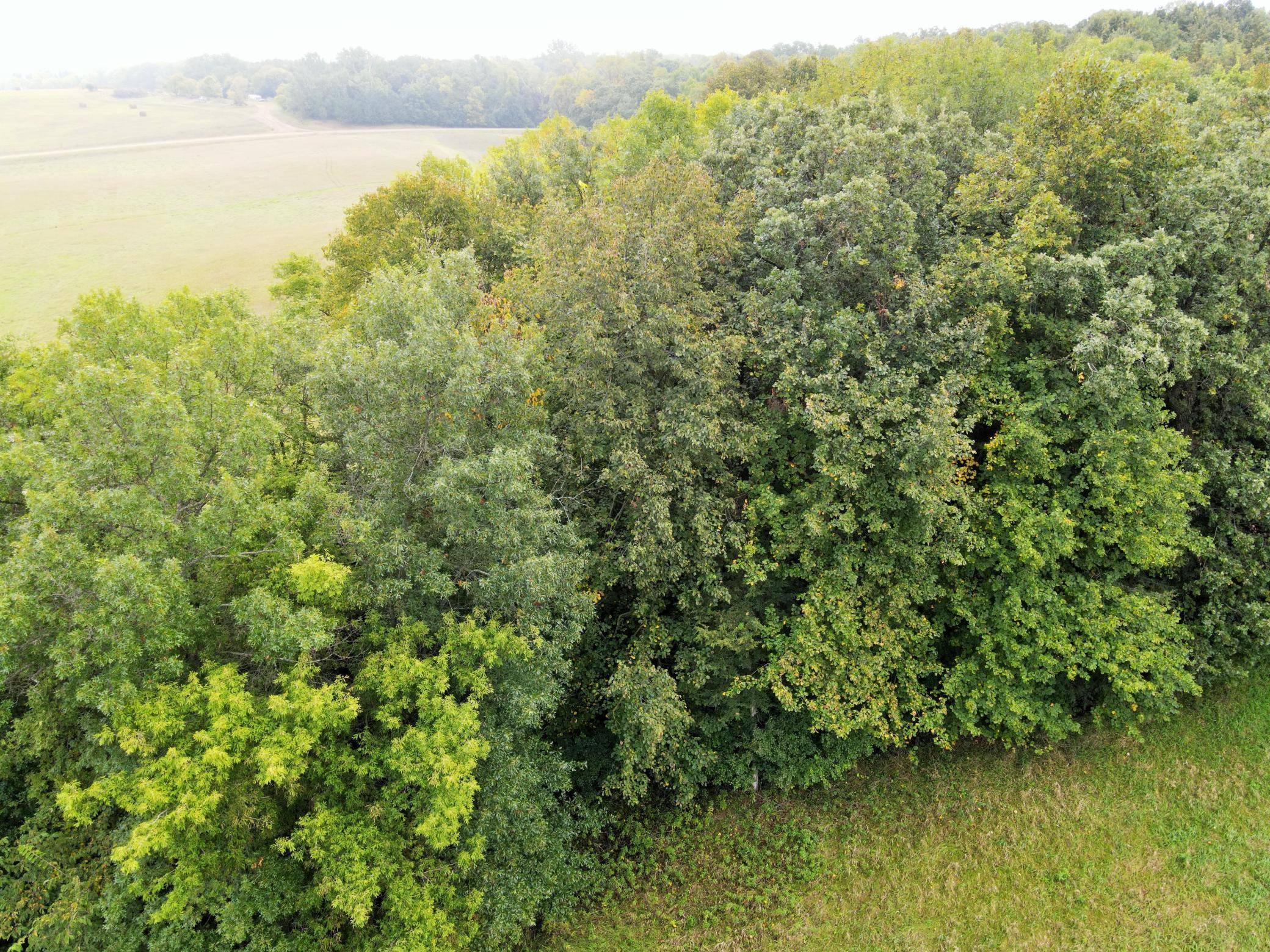 L2 B2 83rd ST NE, Spicer, MN 56288