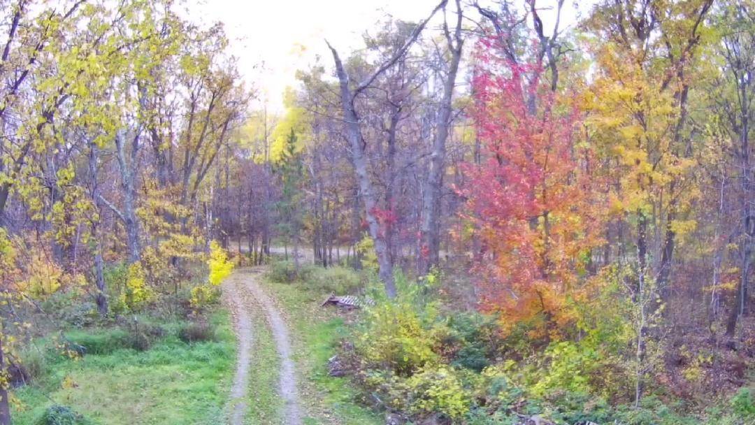 47802 Xylophone RD, Garrison, MN 56450