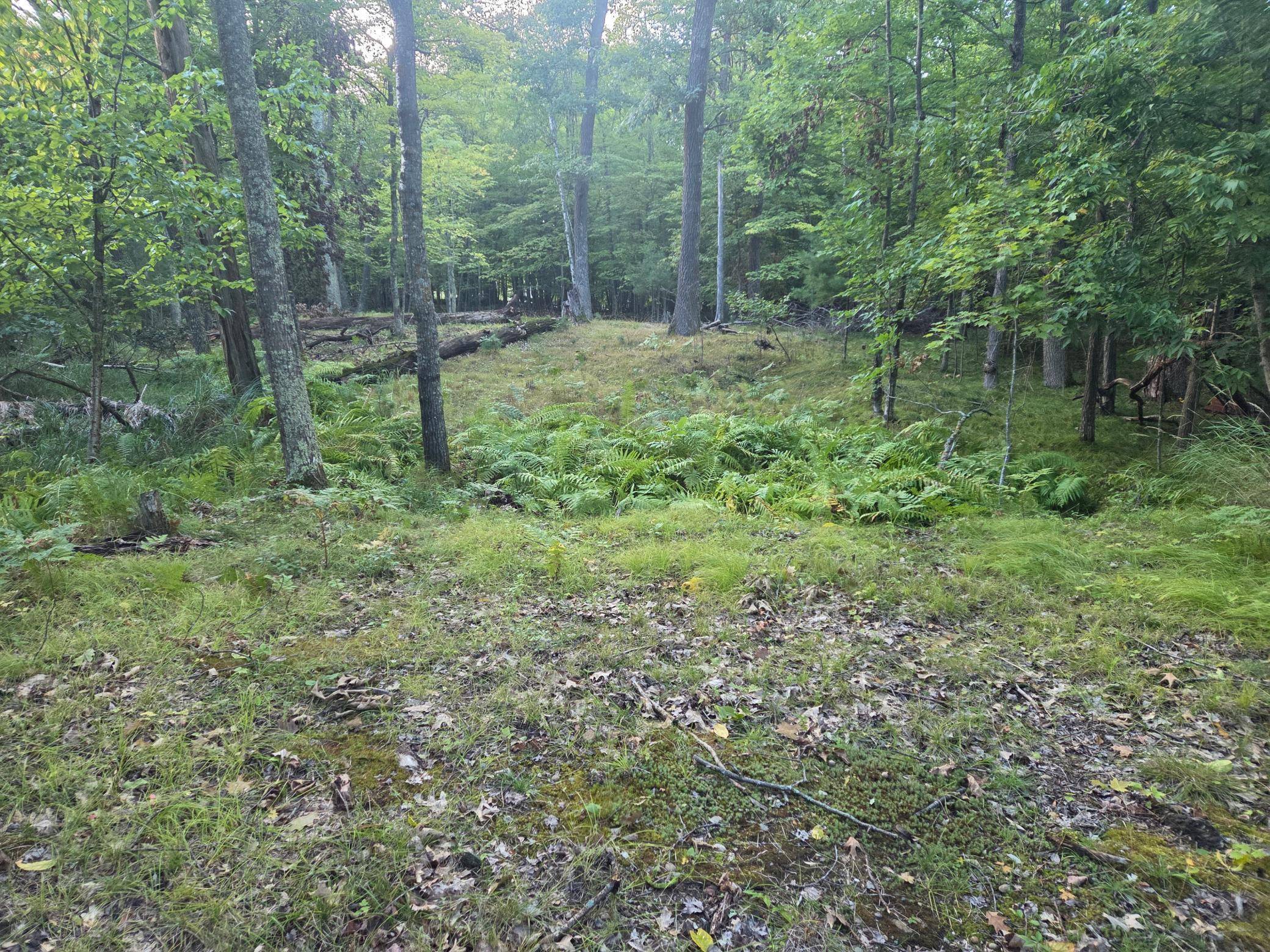 TBD 484th Street, Mcgregor, MN 55760