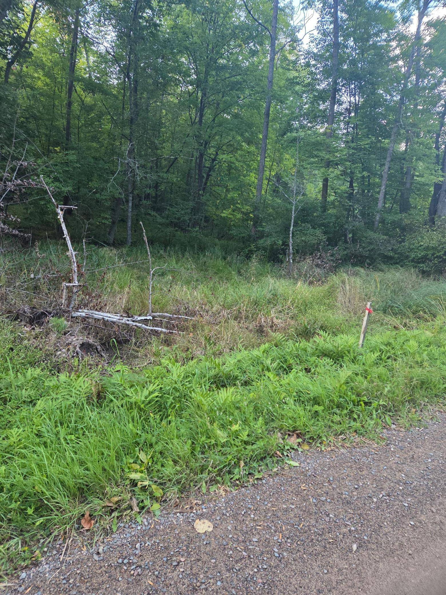 TBD 484th Street, Mcgregor, MN 55760