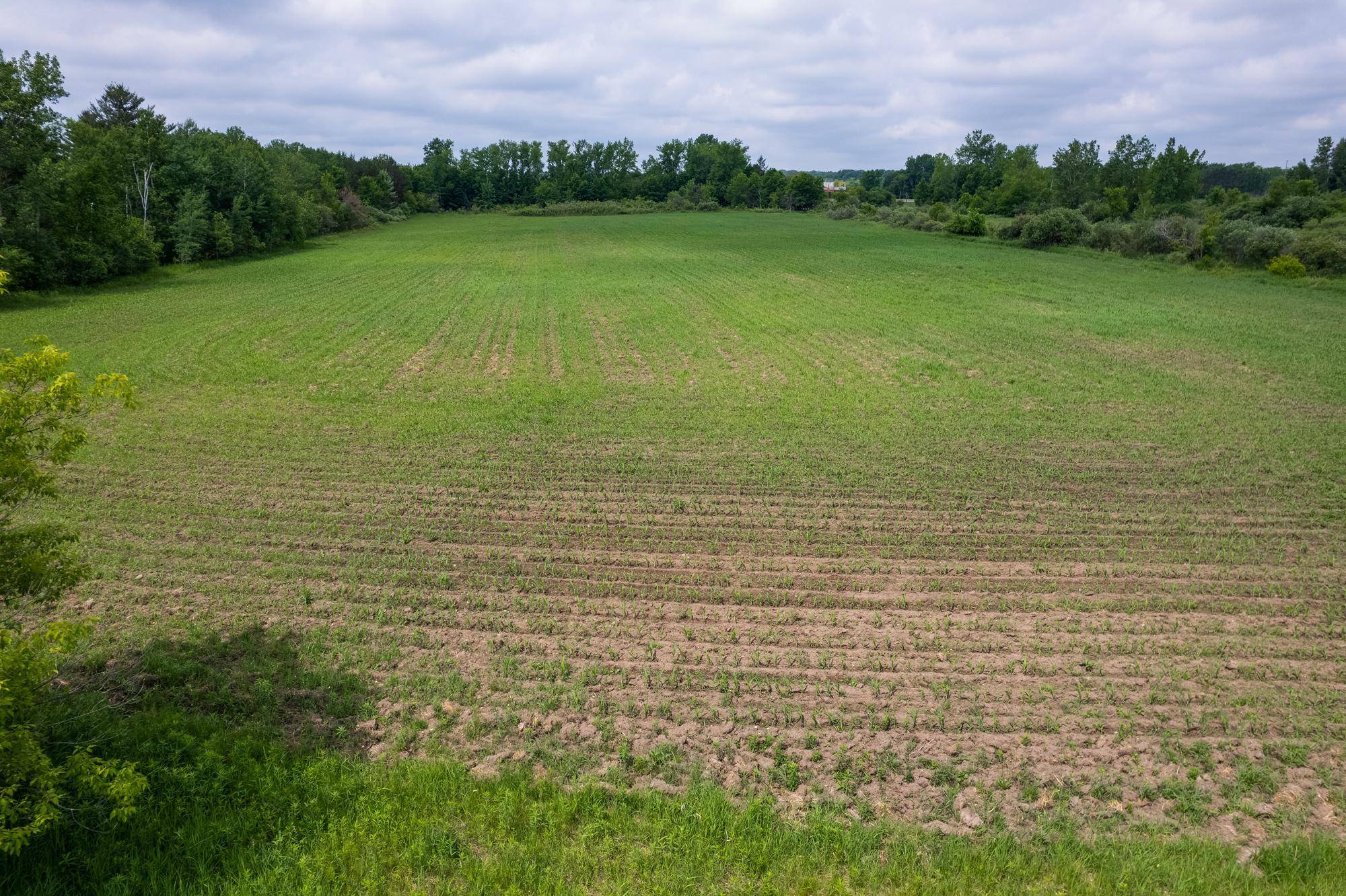 XXX 10th Street NW, Pine City, MN 55063