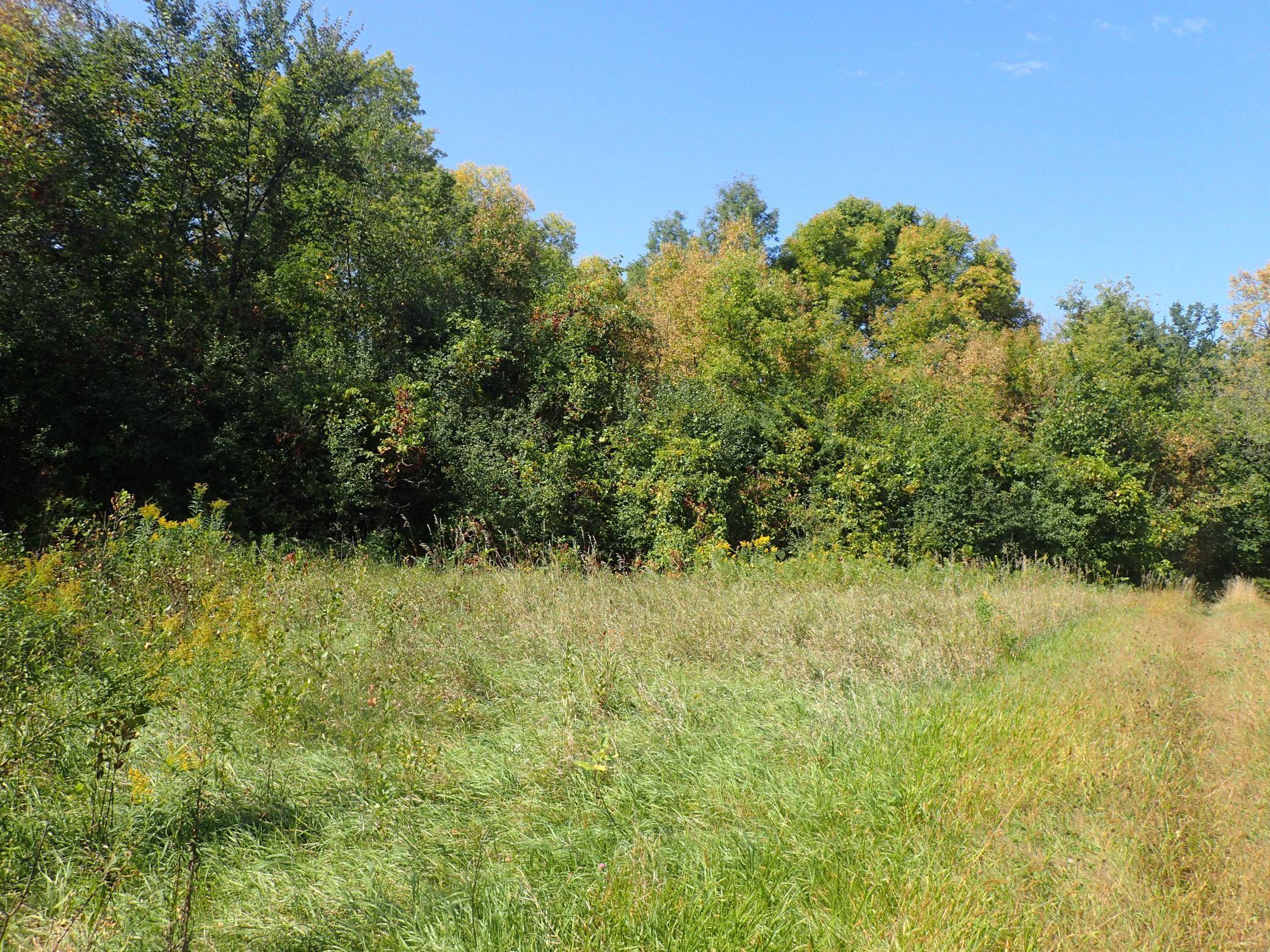 TBD8.5 County Road 106, Monticello, MN 55362