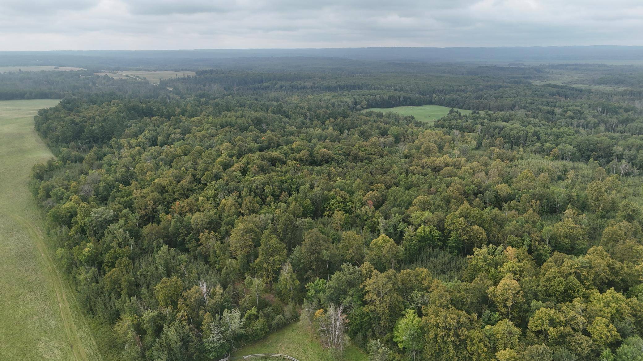 TBD 220th Street, Bagley, MN 56621