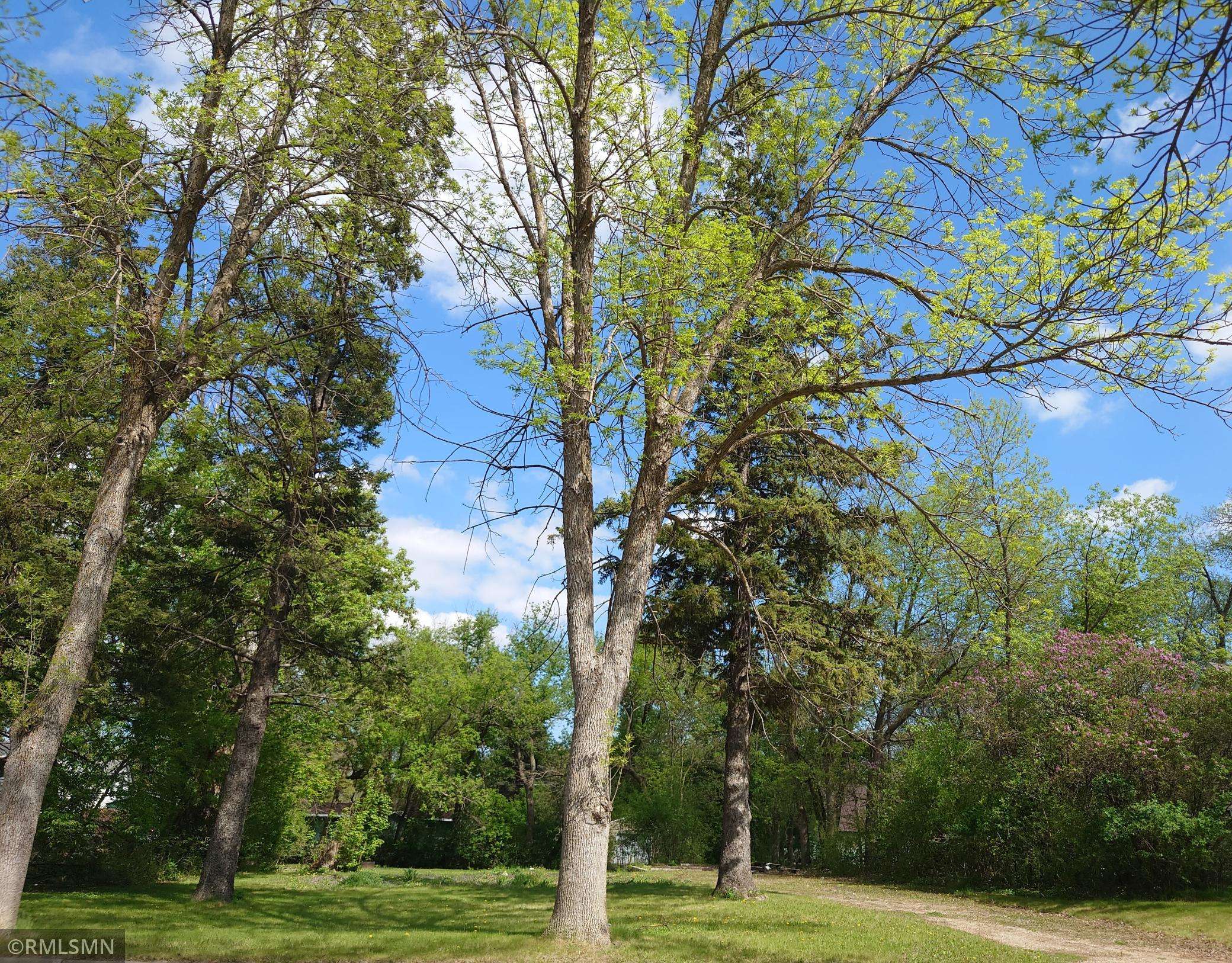 417 Park ST, Alexandria, MN 56308