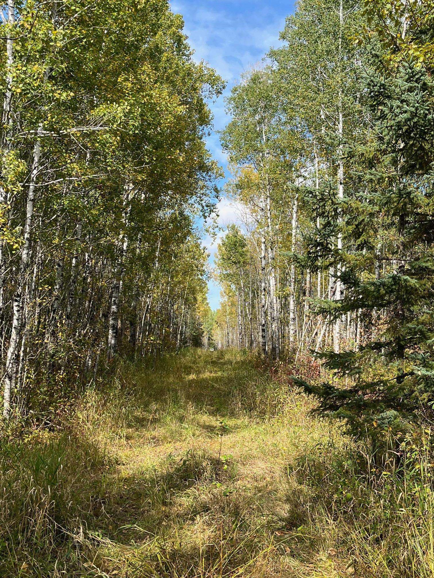 TBD W County Road 3, International Falls, MN 56669