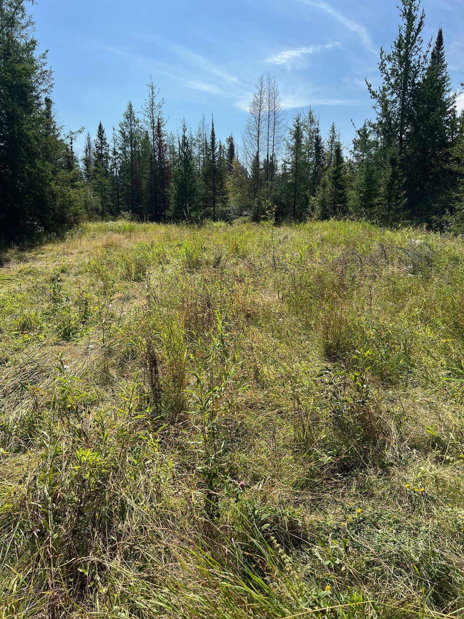 TBD W County Road 3, International Falls, MN 56669