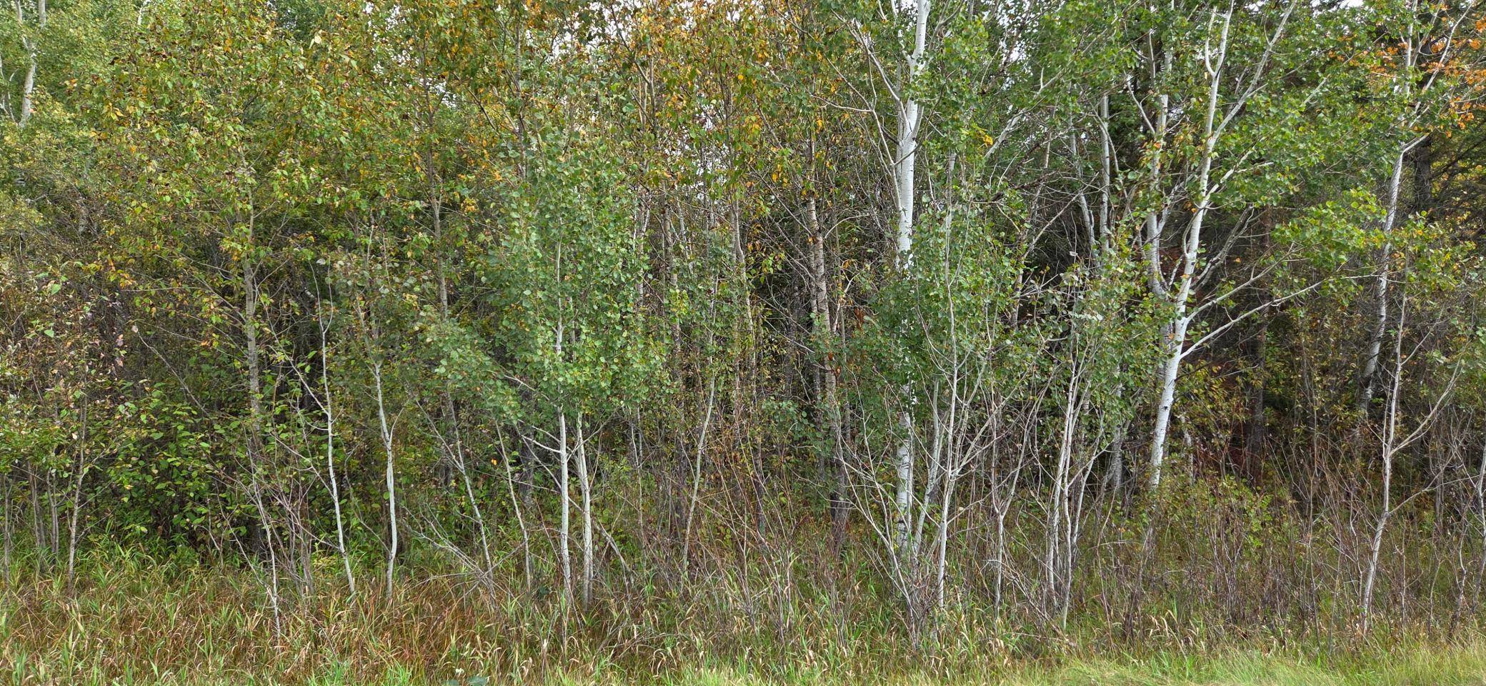 TBD 2nd AVE E, International Falls, MN 56649