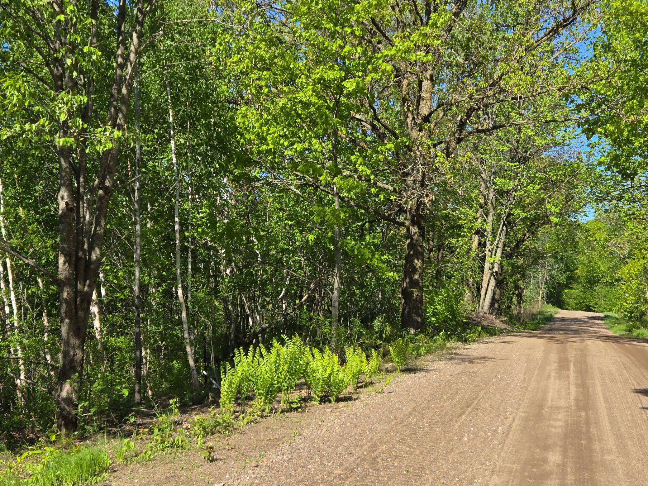 TBD 360th ST, Onamia, MN 56359