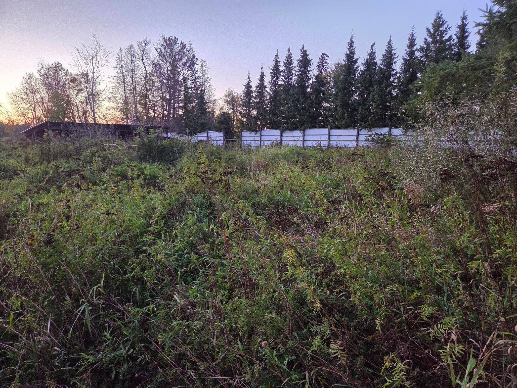36101 Pincherry RD, Cohasset, MN 55721