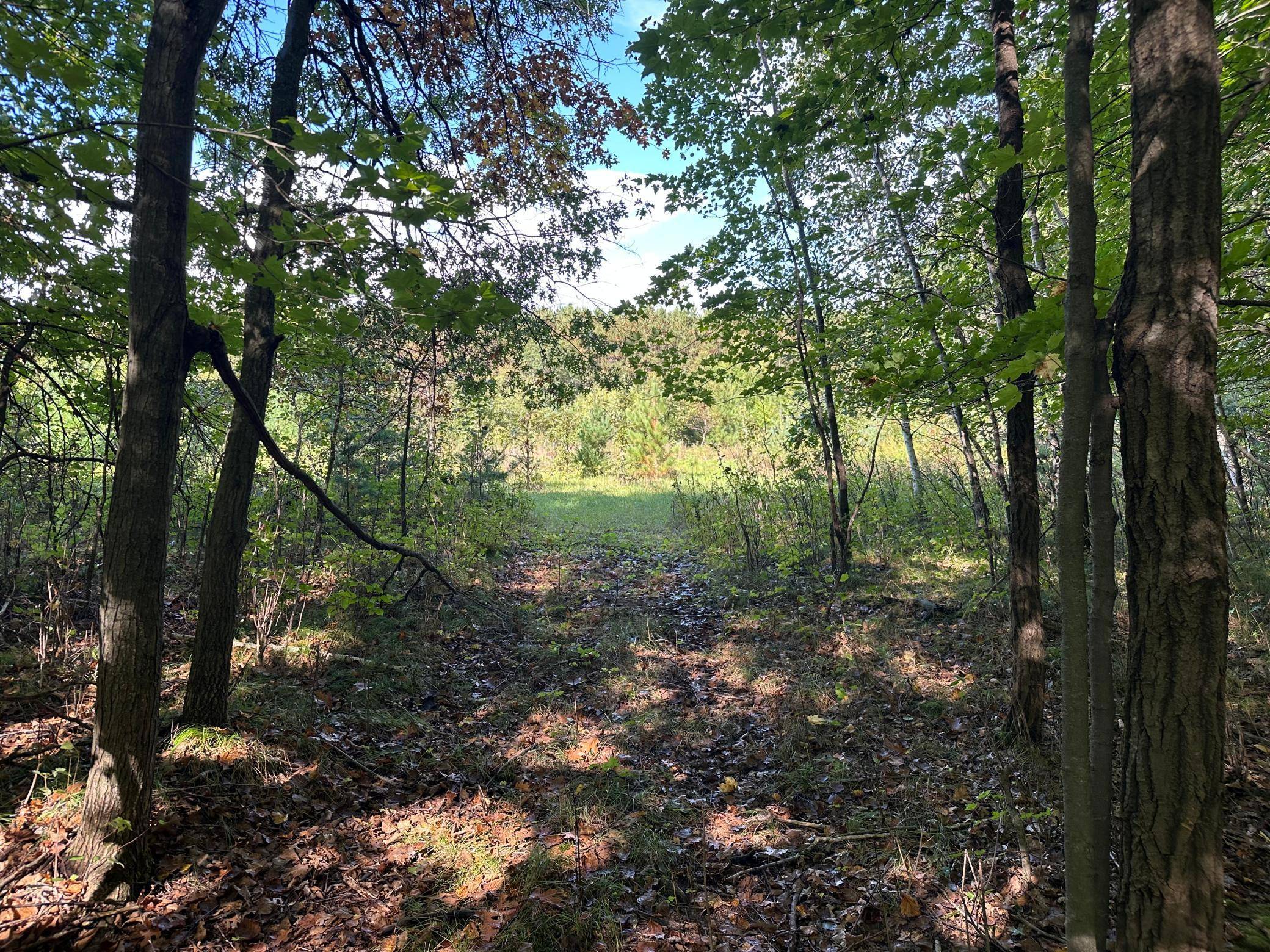 XXX 424th ST, Harris, MN 55032