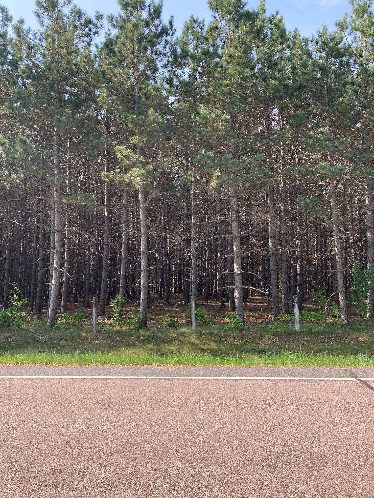 Lot 7 Fawn Lake RD, Crosslake, MN 56472