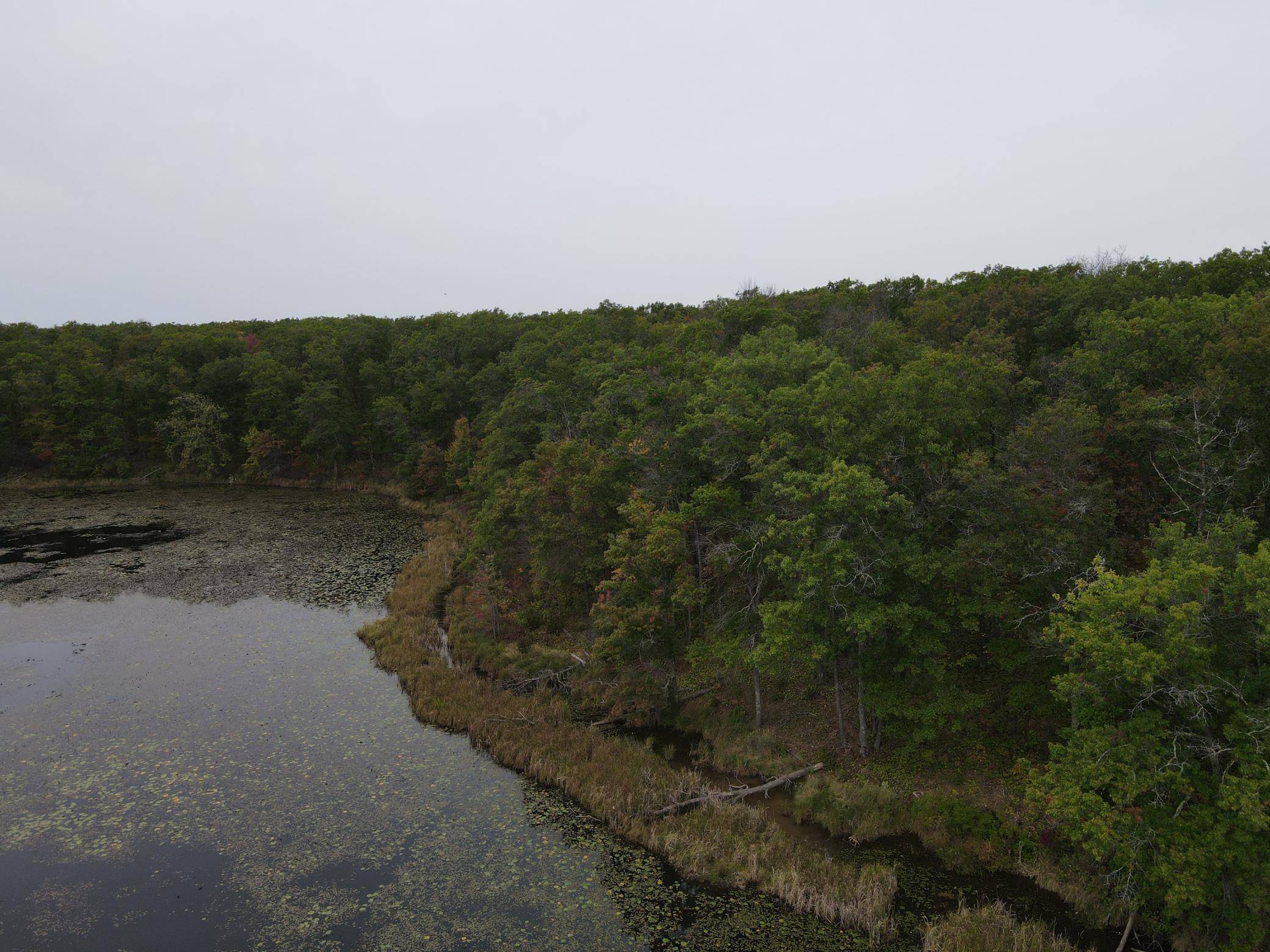 TBD Red Oak DR, Garrison, MN 56450