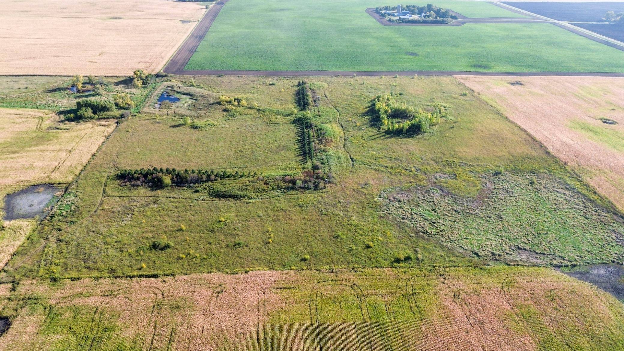 TBD (XXX1) CSAH 22, Cosmos, MN 56228