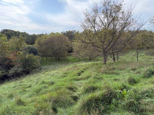 Lot 6 220th ave, New Richmond, WI 54017