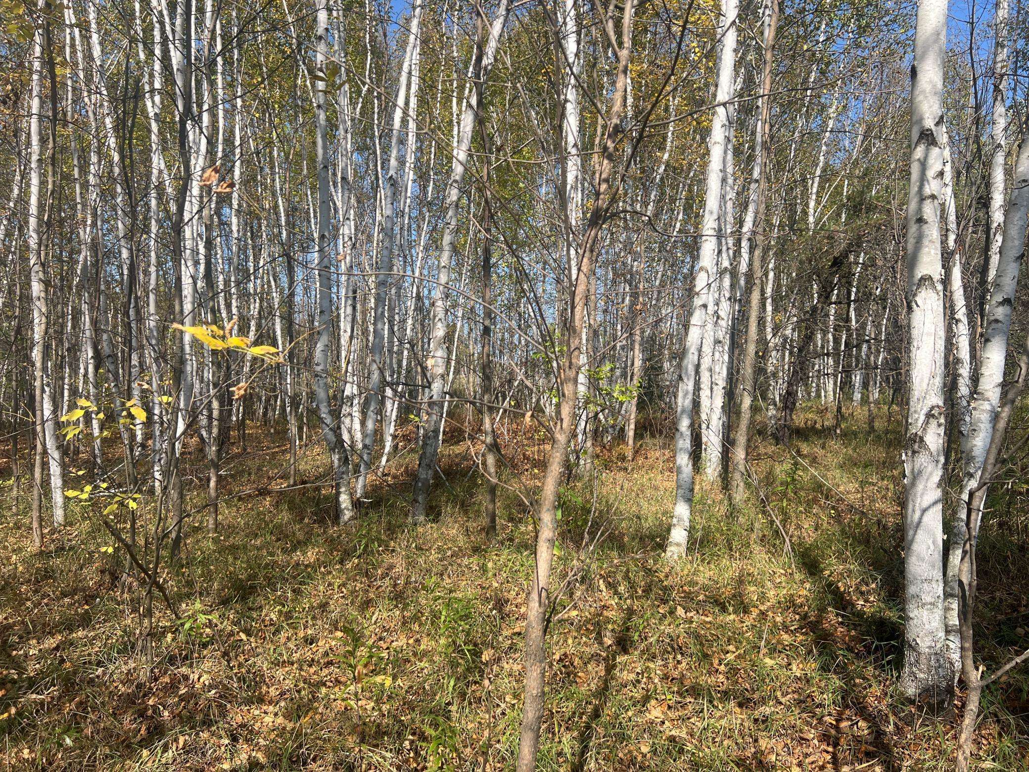 00000 County HWY 61, Hinckley, MN 55037