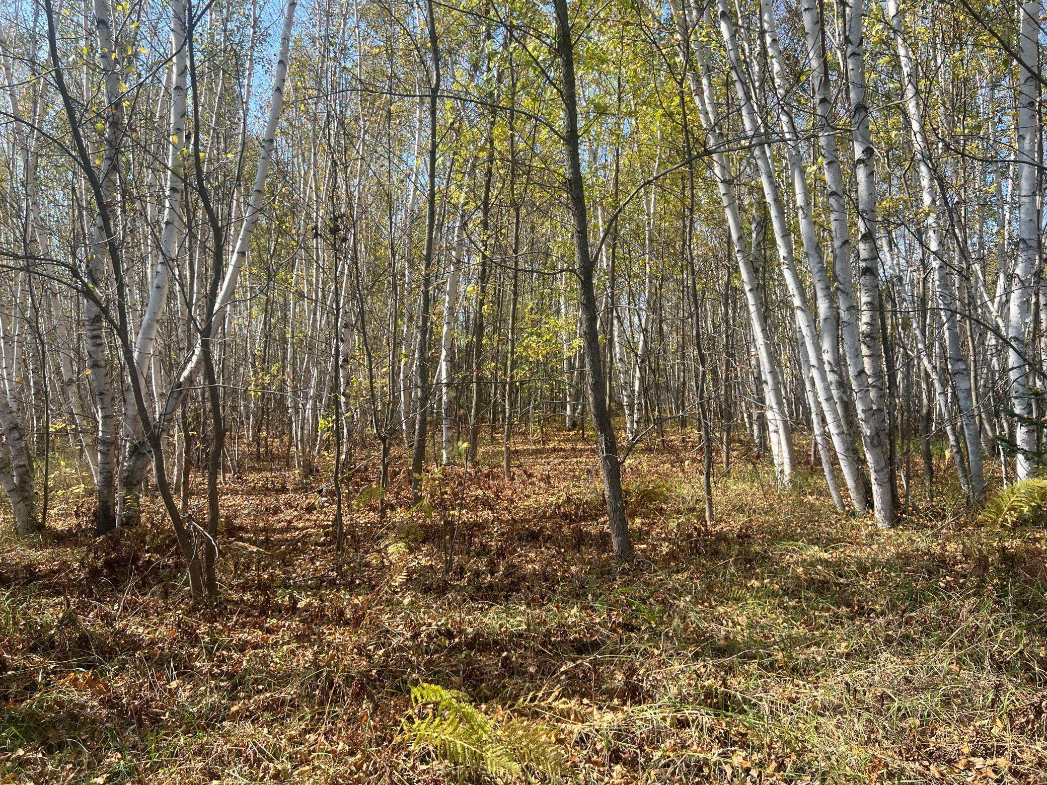 00000 County HWY 61, Hinckley, MN 55037