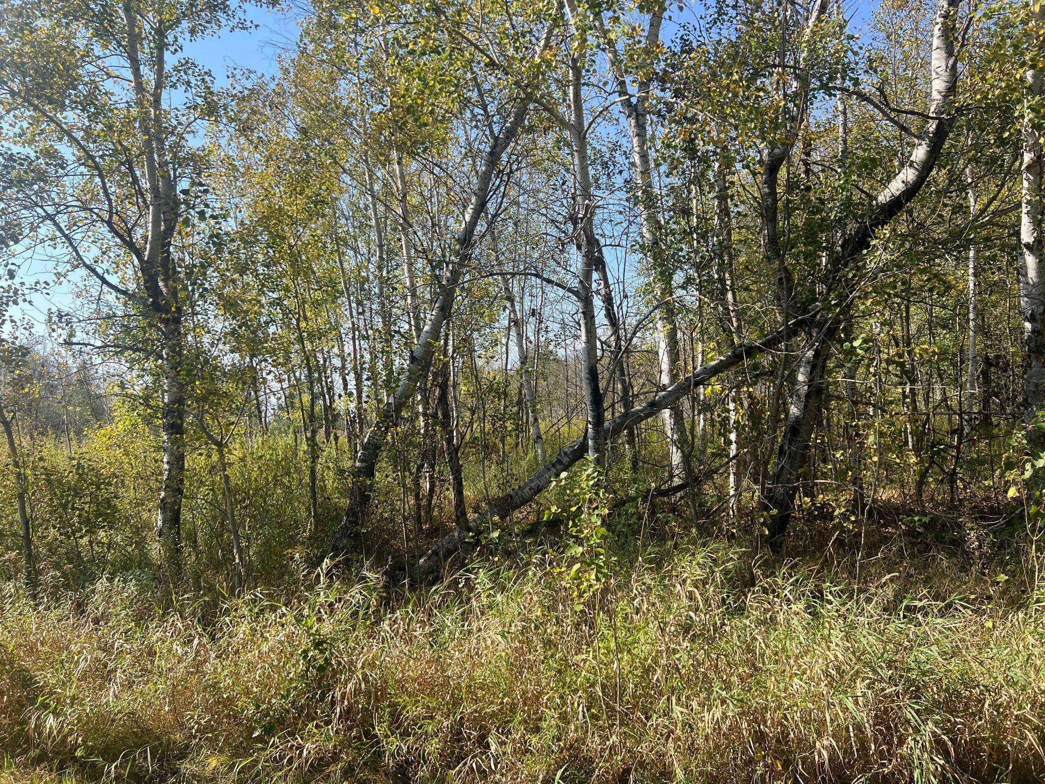 00000 County HWY 61, Hinckley, MN 55037