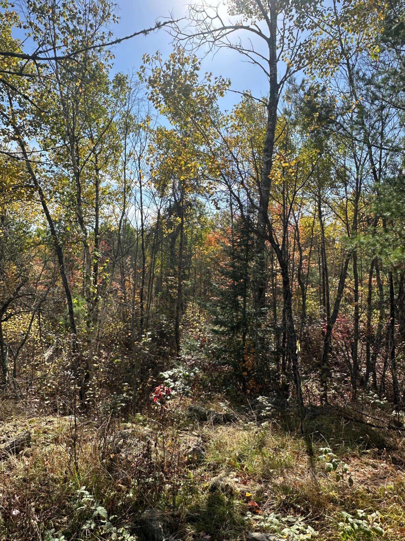 Lot 7 Wilderness WAY, Cook, MN 55723