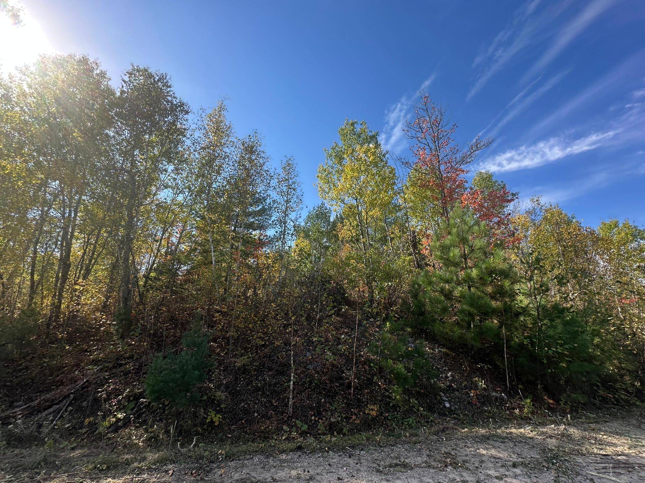 Lot 7 Wilderness WAY, Cook, MN 55723