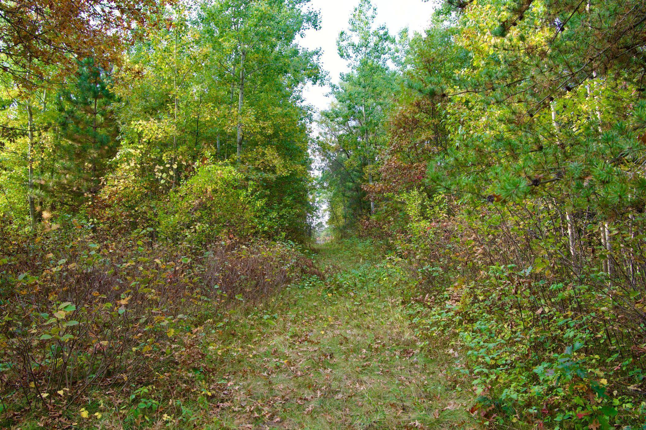 Tract B HWY 371, Brainerd, MN 56401