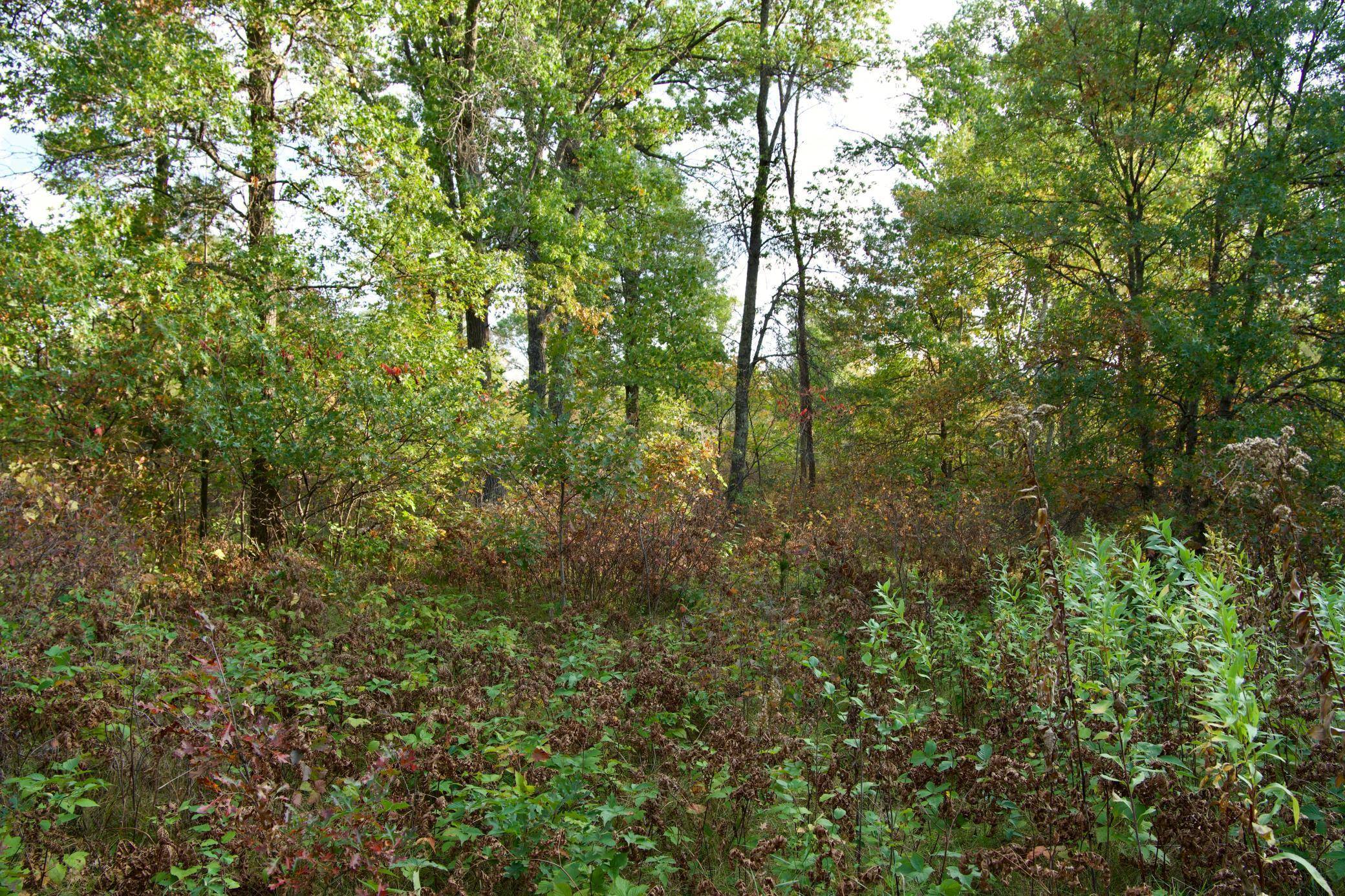Tract B HWY 371, Brainerd, MN 56401