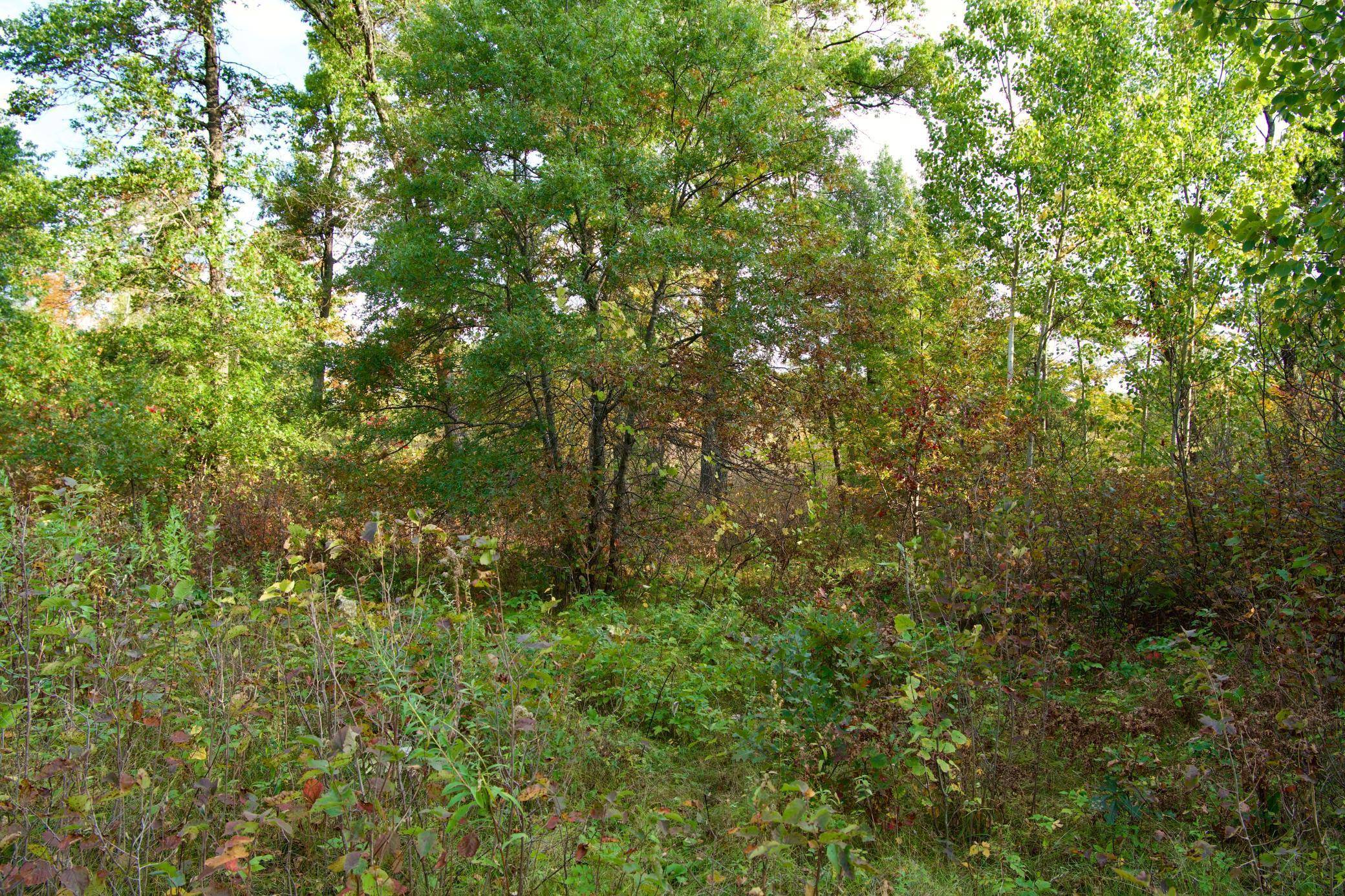 Tract C Hwy 371, Brainerd, MN 56401