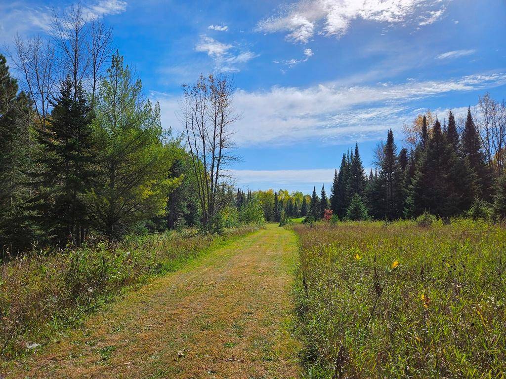 Lt 3 Blk 1 County Rd 238, Deer River, MN 56636
