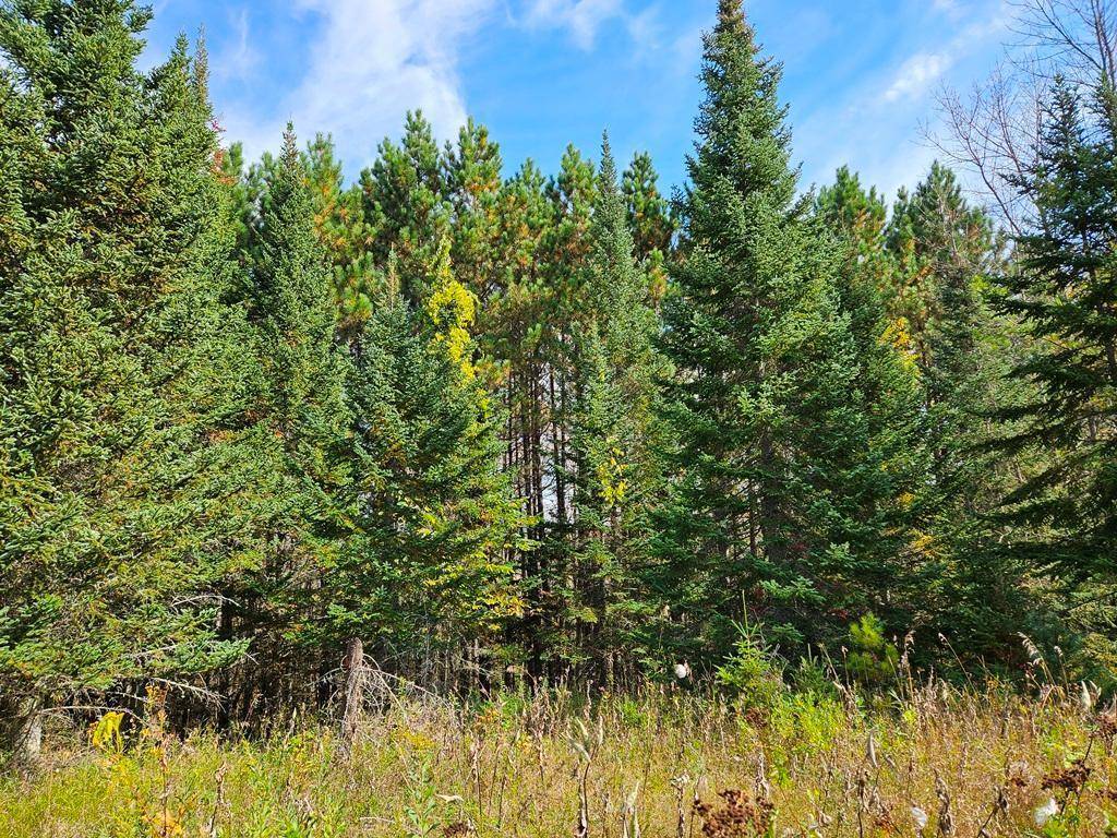 Lt 3 Blk 1 County Rd 238, Deer River, MN 56636