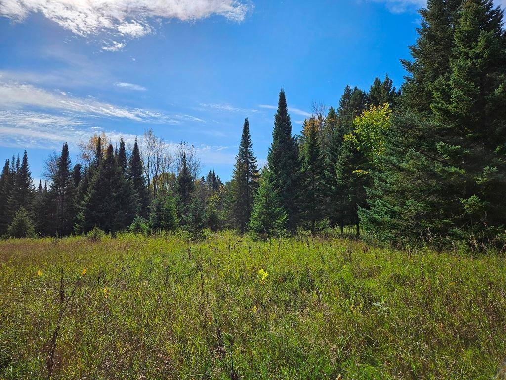 Lt 3 Blk 1 County Rd 238, Deer River, MN 56636