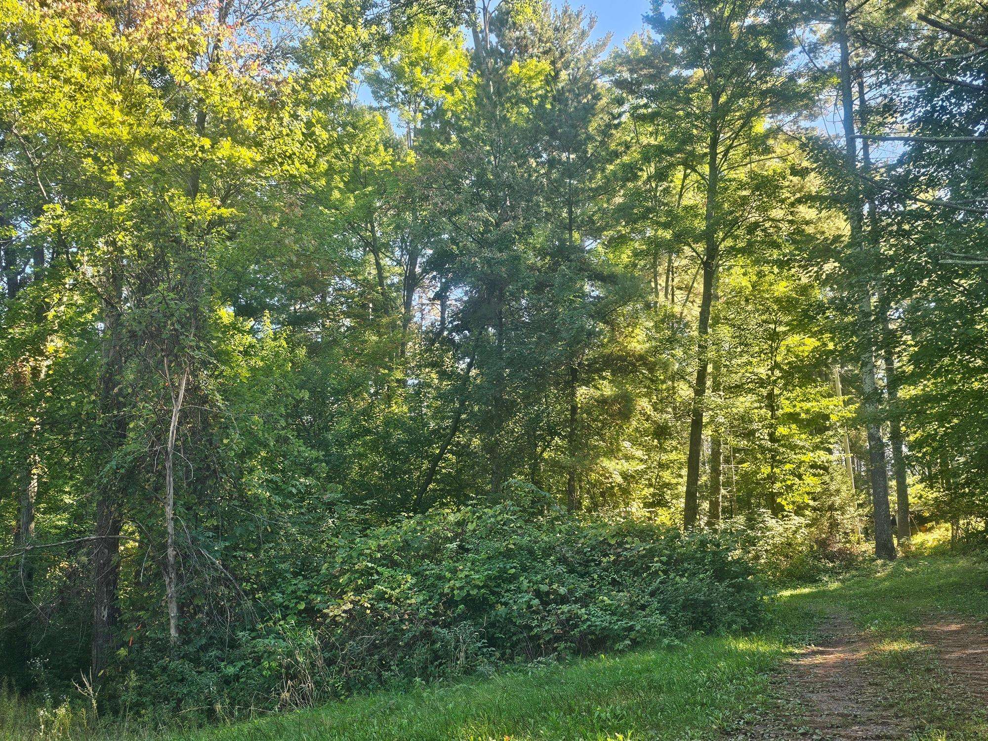 XX E Bass Lake RD, Webster, WI 54893