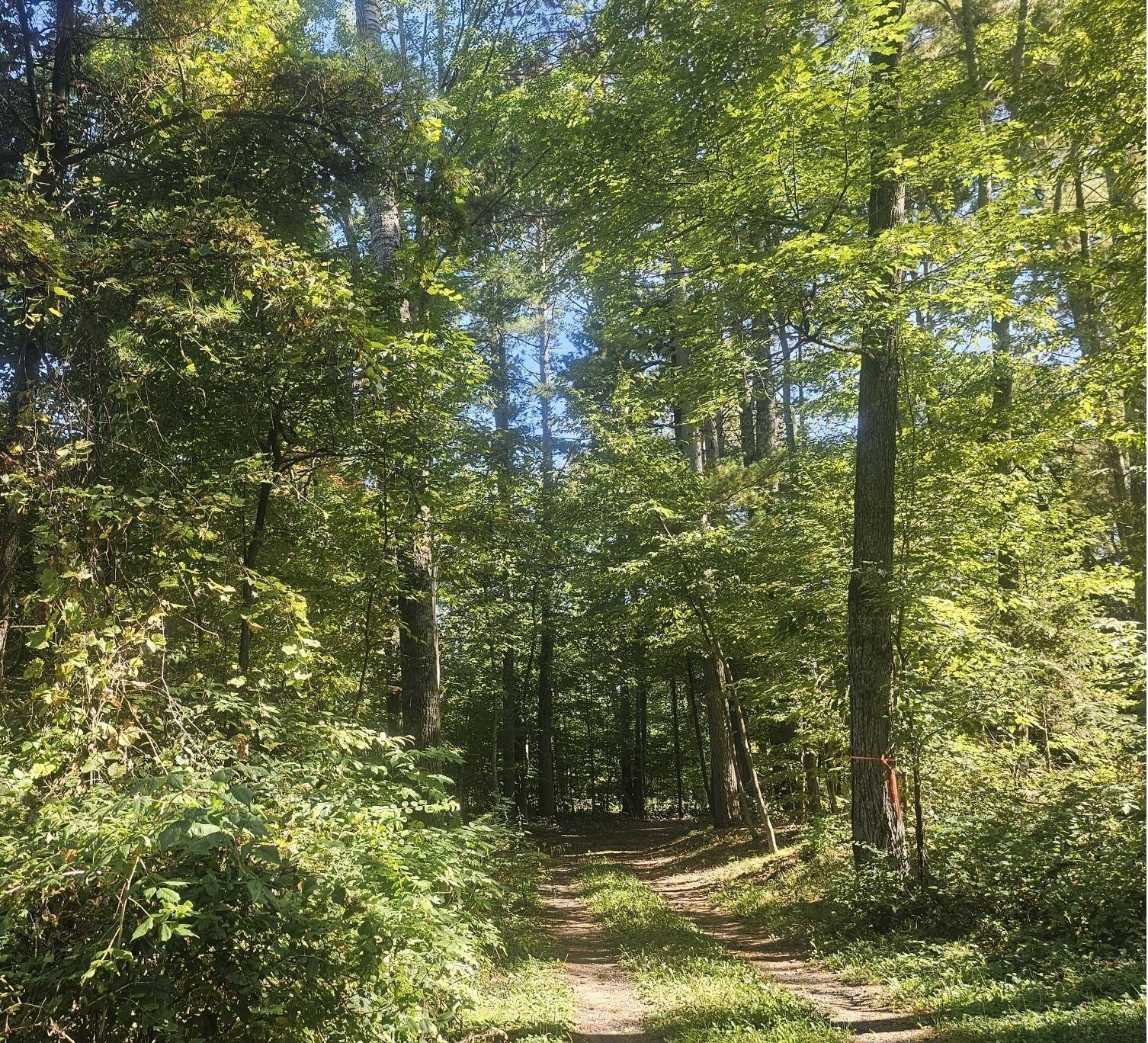 XX E Bass Lake RD, Webster, WI 54893