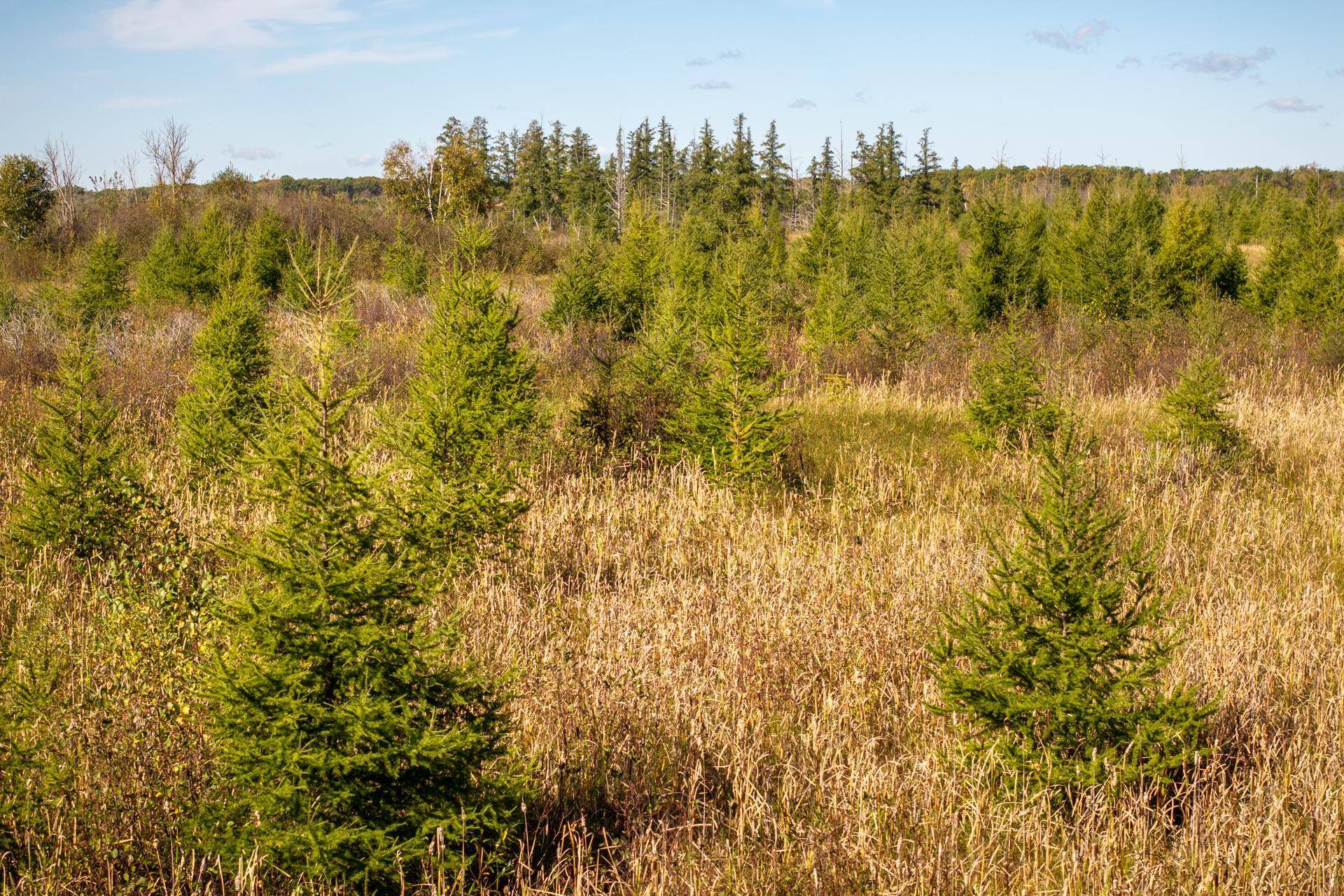 TBD 350th St, Onamia, MN 56359